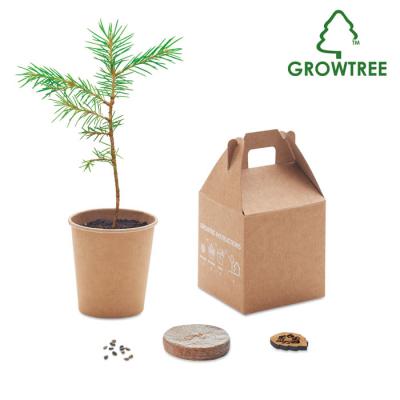 Image of Growtree Pine Tree Set